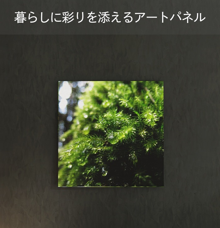 NO5970】ファブリックパネル・アートパネル3枚セット 【公式通販】
