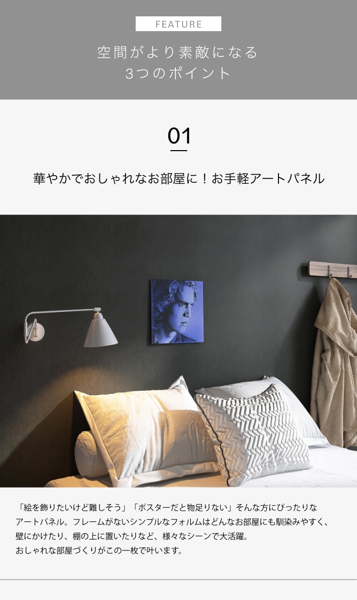 30×30] 【スターウォーズ】アナキン・スカイウォーカーのアート