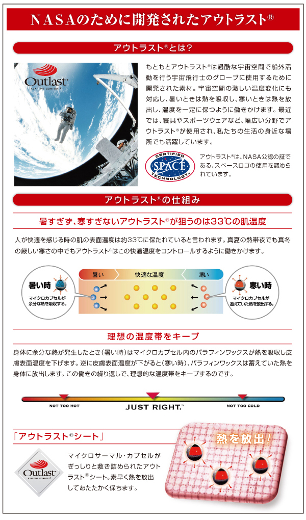 アウトラストとは