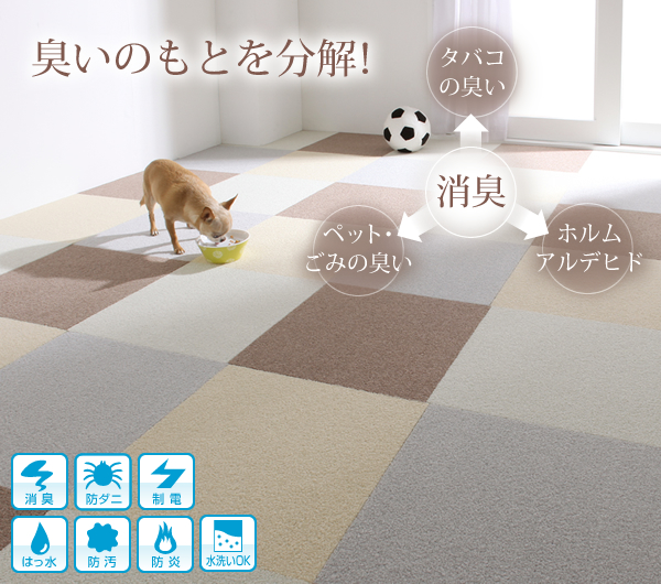 臭いのもとを分解