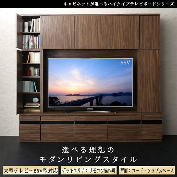 特大テレビボート