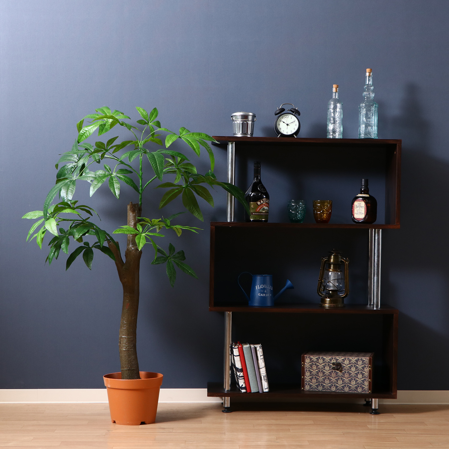 観葉植物 パキラ 朴の木タイプ