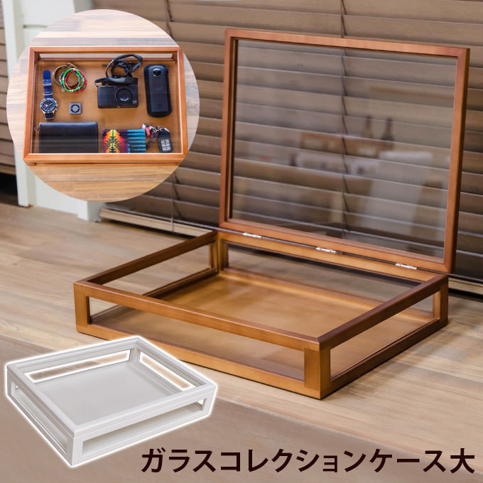 ガラスコレクションケース 大