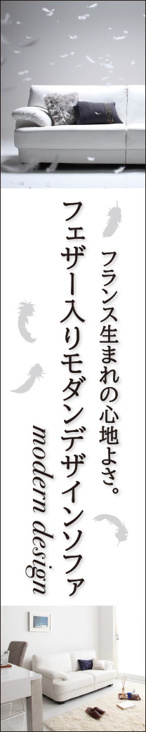 フランス産フェザー入りモダンデザインソファ