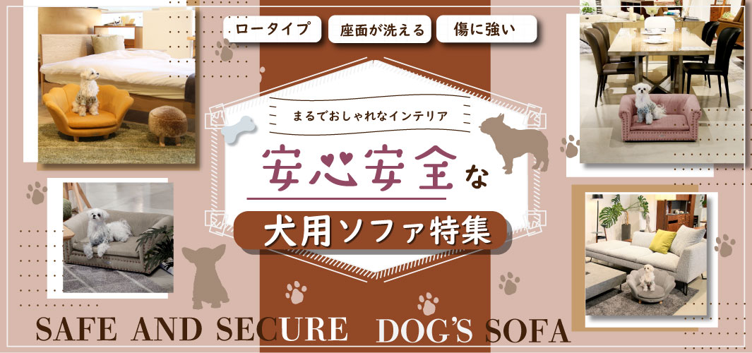 まるでおしゃれなインテリア！安心安全な品質の犬用ソファ特集
