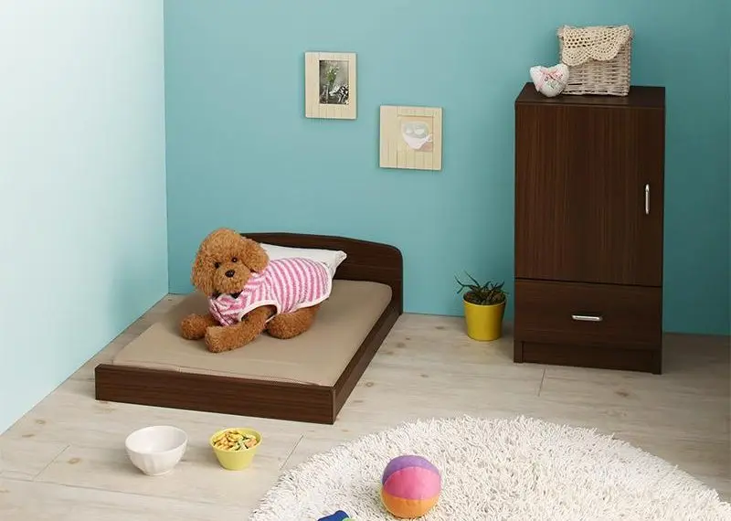 お洒落すぎる♡ペット用の家具を取り入れて快適なお部屋づくりを