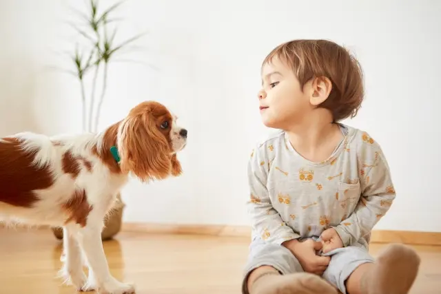 【子供とペットがいる家庭】一緒に暮らすための注意点とは？